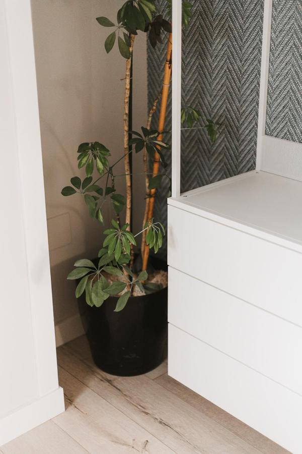 Ferienwohnung Mk77 Leon - Atiko Exterior foto